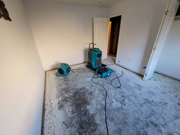 Best 24/7 water damage repair  in Highland Heights, OH