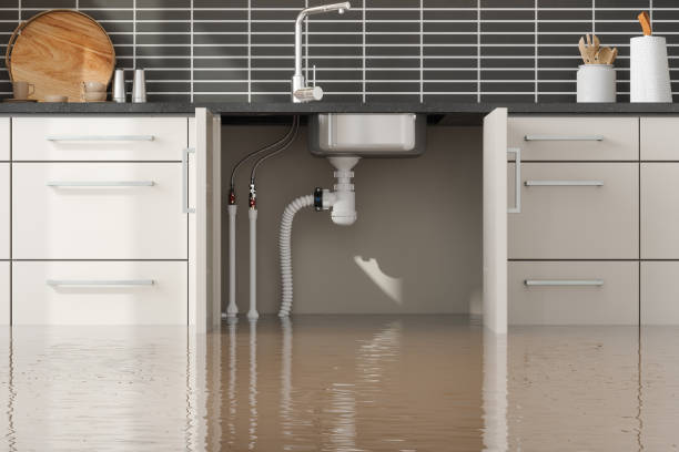 Best Water damage restoration near me  in Highland Heights, OH